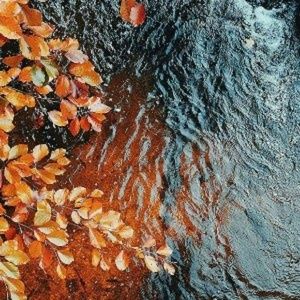 Meet your Posher, Ben